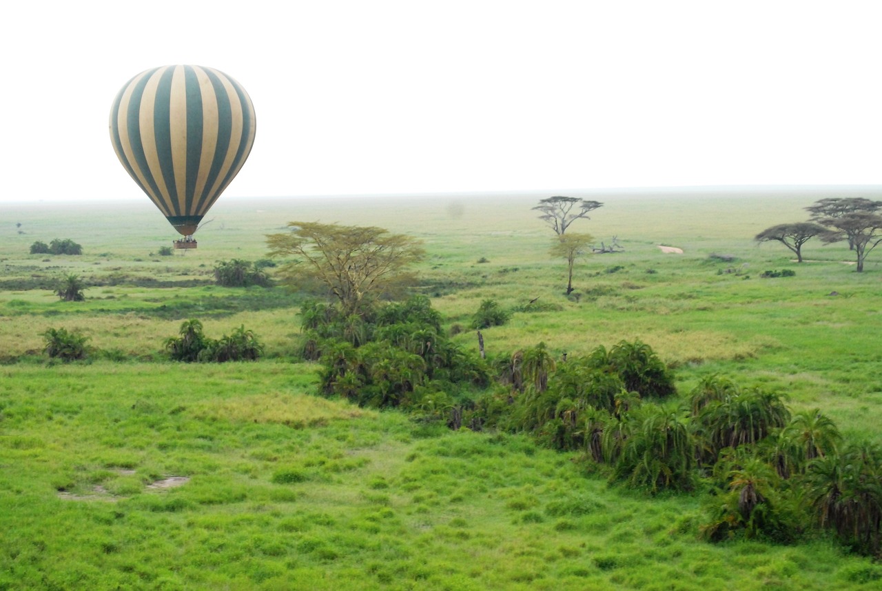 Soul of Tanzania Safari