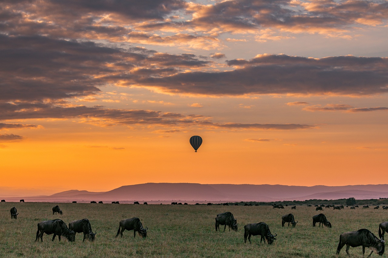 Serengeti Migration